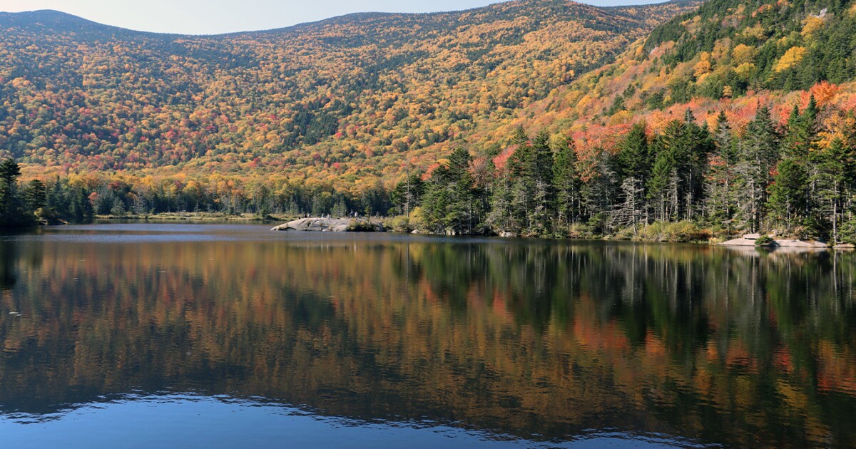 10 Things to Do in NH This Weekend: Dachtoberfest, Fisher Cats Fright Nights and Museum of the Outdoors