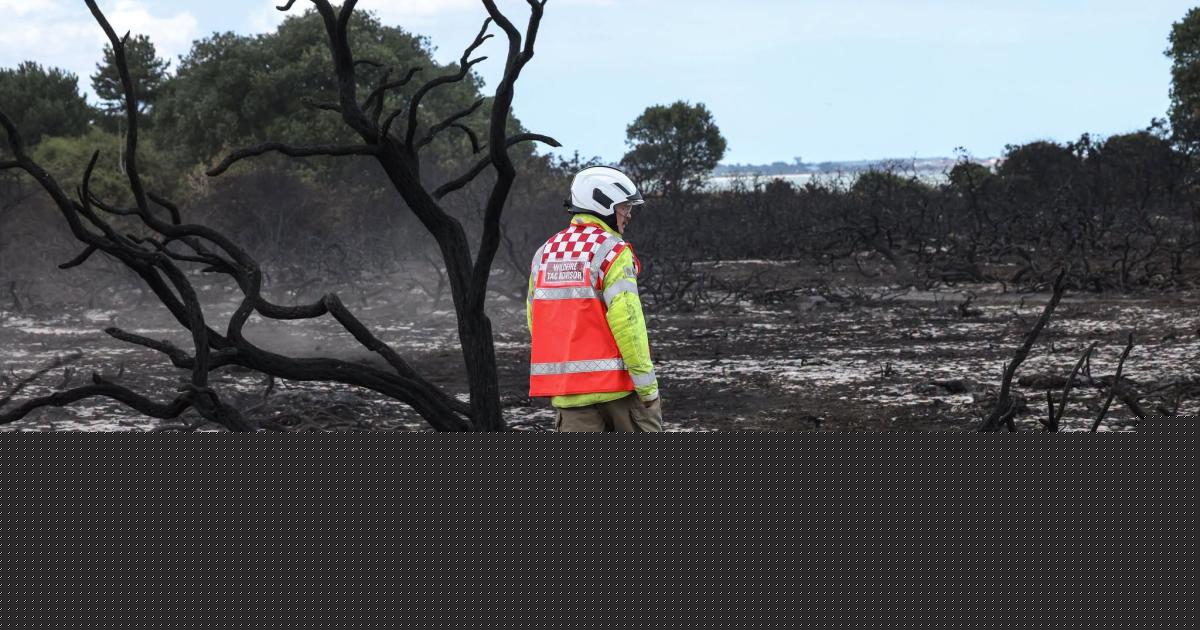 Crews continue to battle pockets of fire in seventh day of wildfire
