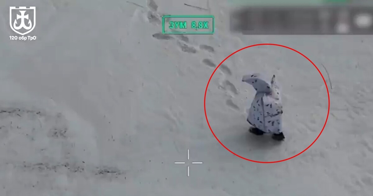 Skurrile Tarnung - Russischer Soldat spaziert als „Pinguin“ an Front