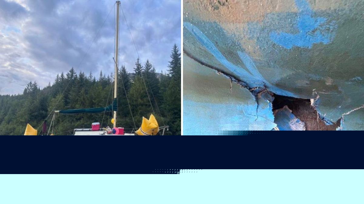 Humpback whale collides with anchored sailboat in Glacier Bay National Park, family flee as it sinks