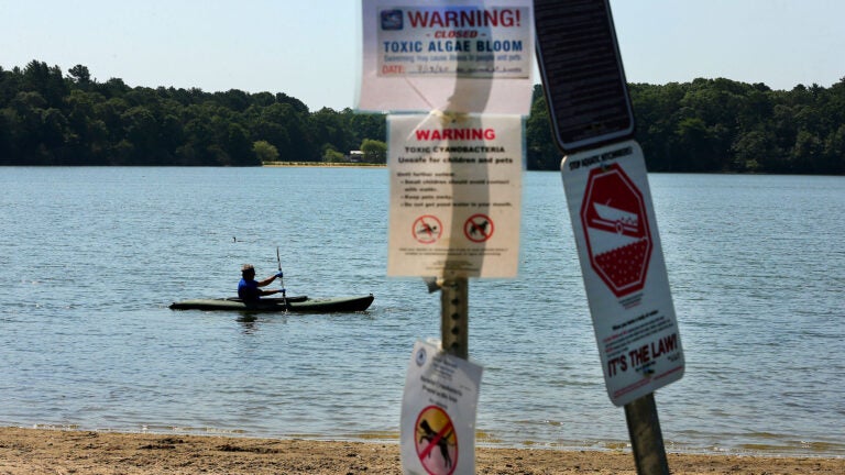 Residents urged to keep pets out of Stoughton pond after dog’s death