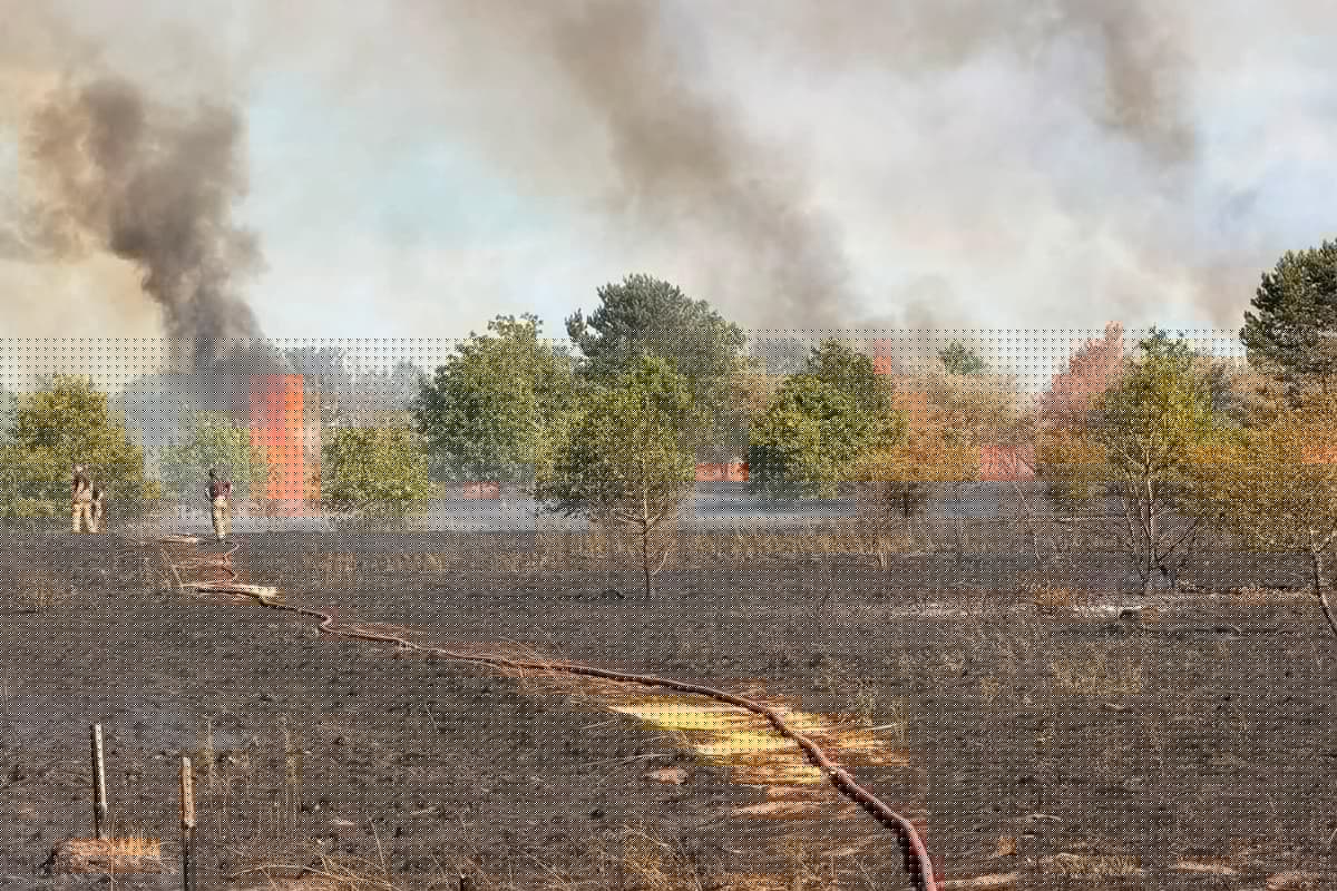 IN PICTURES: Large field fire in Mansfield