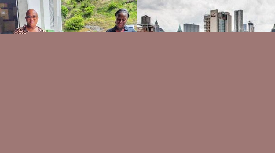 RIDU, Amerijet partnership brings Vincy products to N.Y expo