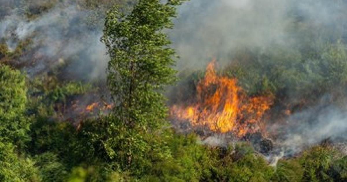 Update on Dovestones and Swineshaw moor fires after major incident stood down