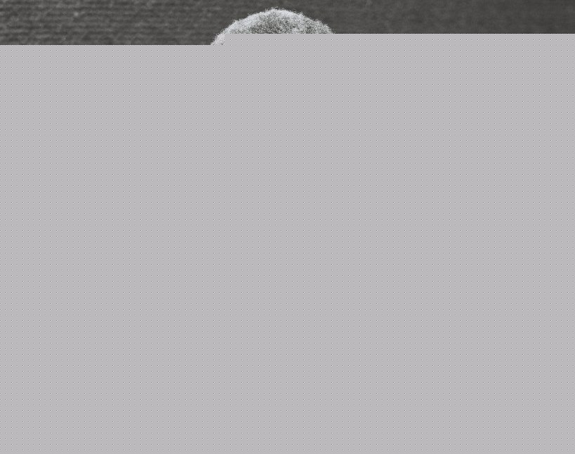 Comment on Time to have education that reflects Nyerere’s vision by Margaret McCormick
