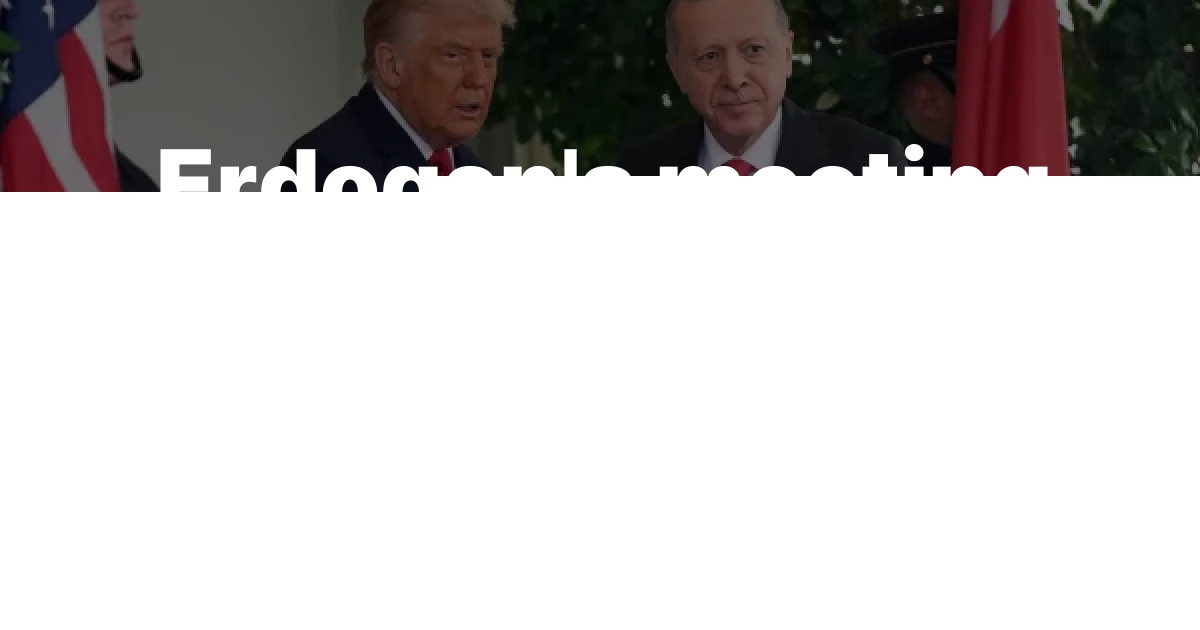 Erdogan’s meeting with Trump goes off well