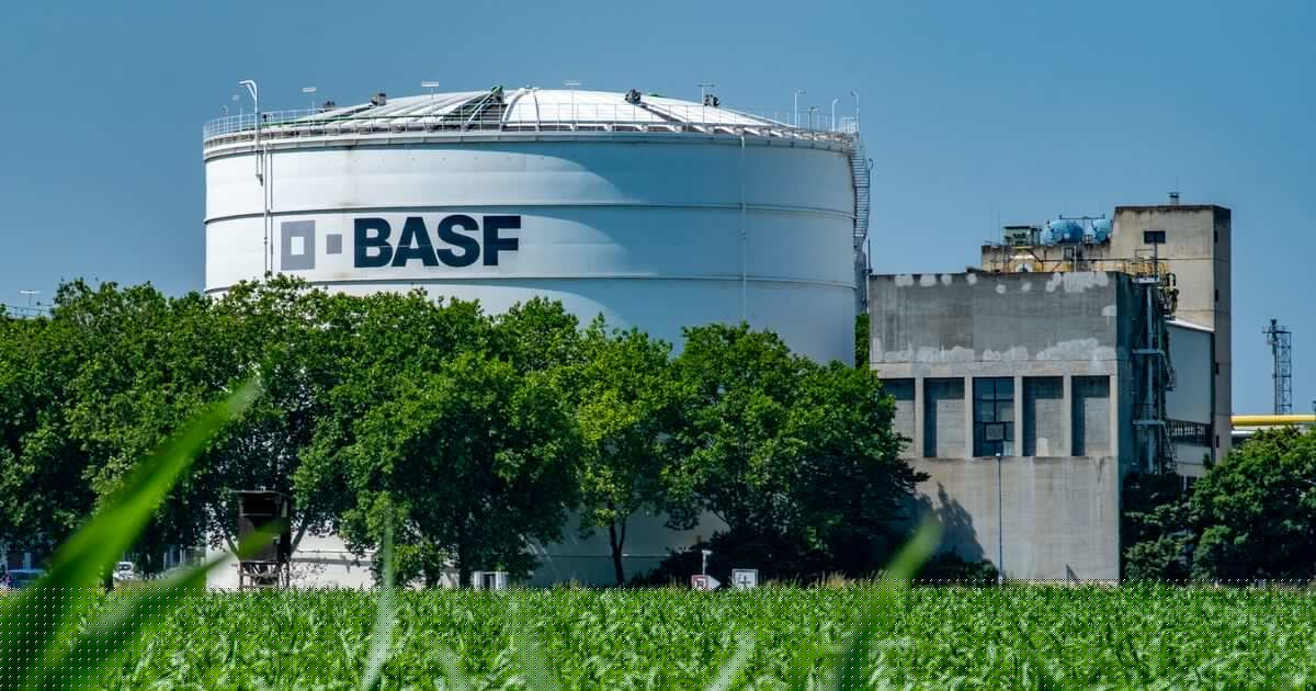 BASF grows crop protection volumes as Ag Solutions IPO preparations gather pace