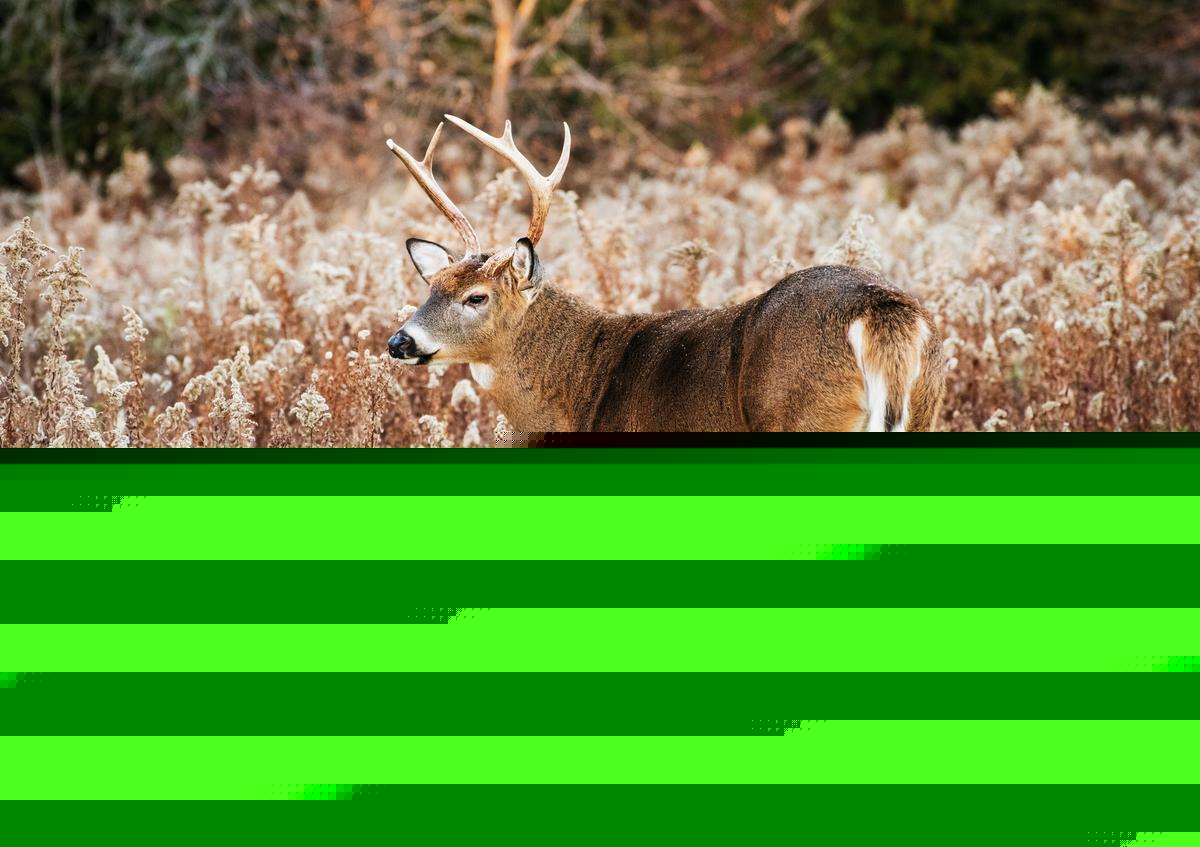 Iowa DNR 2026-2027 Hunting Changes: New Zones and Rules