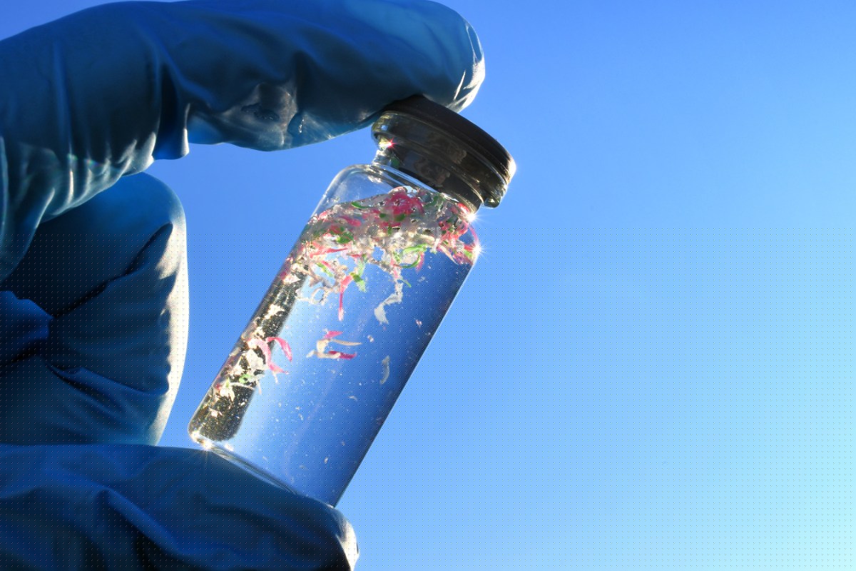Common Food Packaging Plastic May Contribute to Fatty Liver Disease