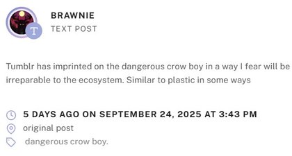 Dangerous Crow Boy - Tumblr has imprinted on the dangerous crow boy in a way I fear will be irreparable to the ecosystem. Similar to plastic in some ways