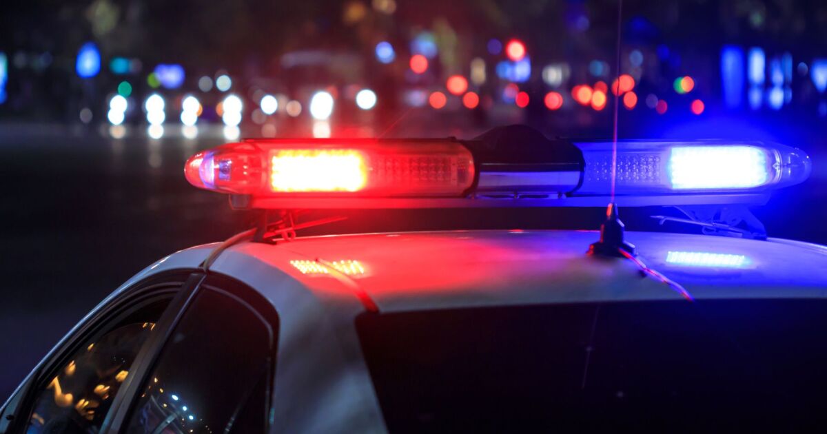 Southampton deputy detained after brother's shooting death: HCSO
