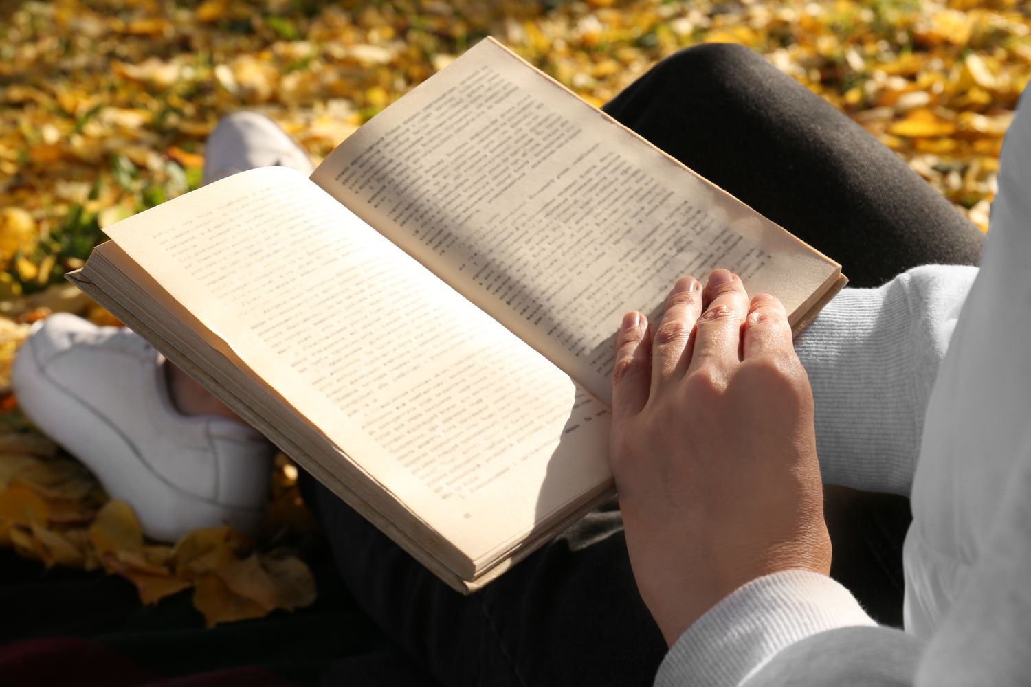 7 New Books Everyone Will Be Talking About This October