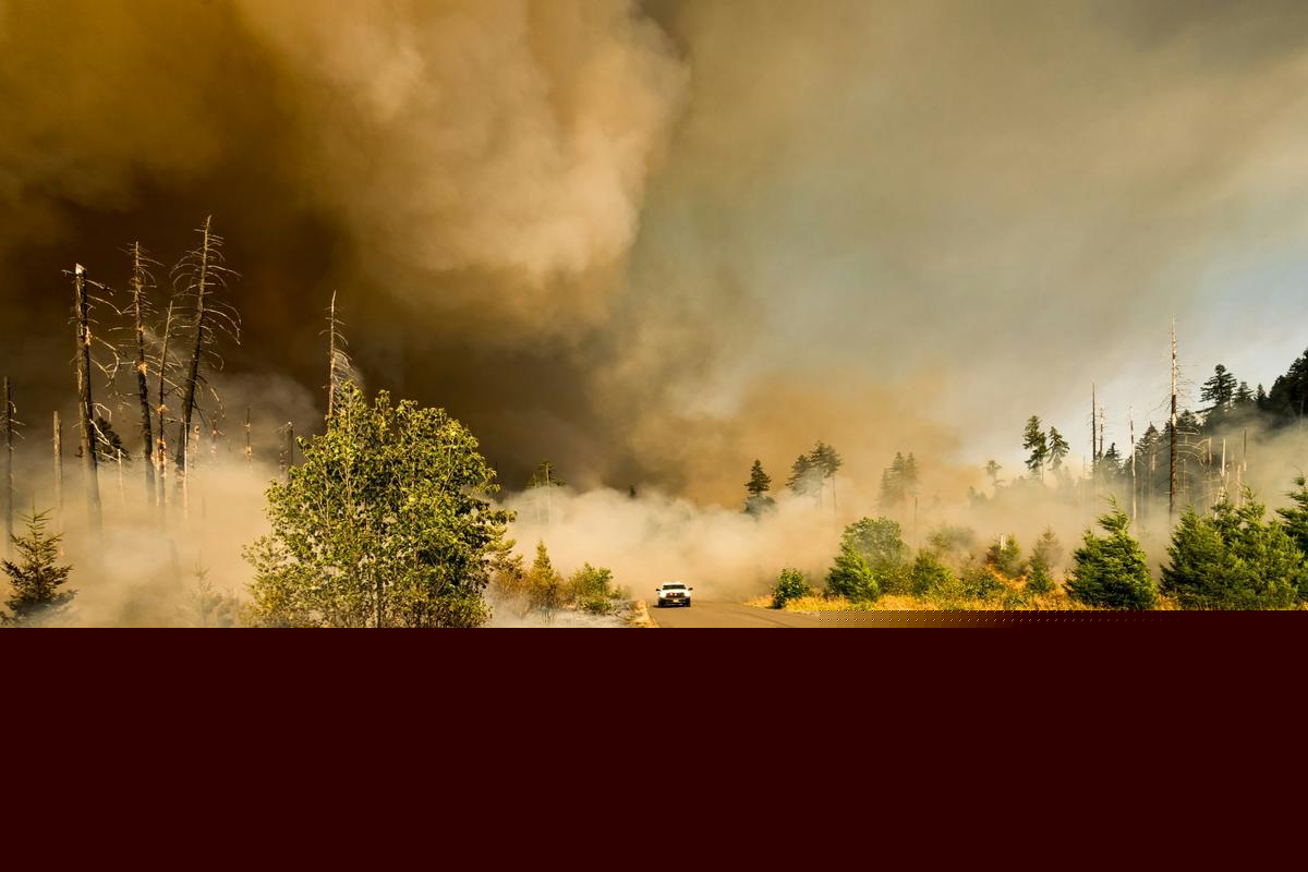 California Man Charged In Fire South Of Sun Valley ID