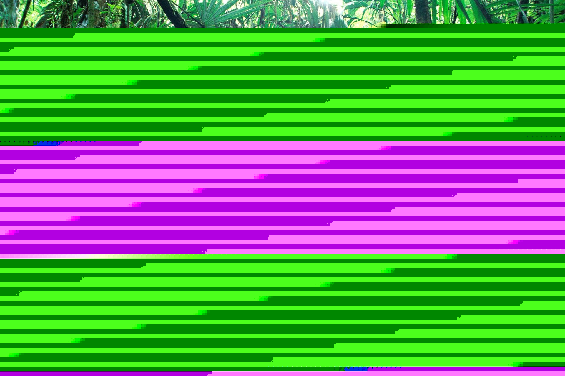 Episode 308 - Welcome to the jungle - How to talk about open source security