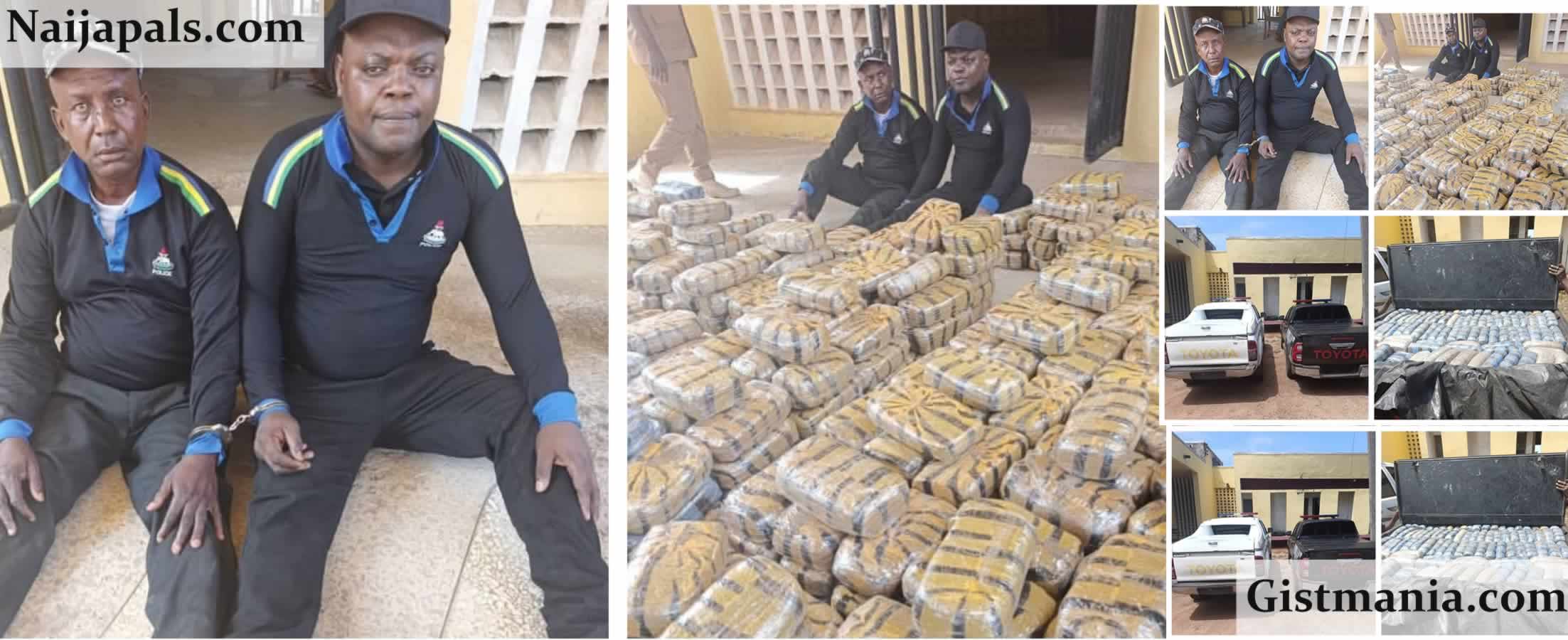 Army, NDLEA Nab Fake Policemen With Over 1,100 Blocks Of Cannabis in Taraba