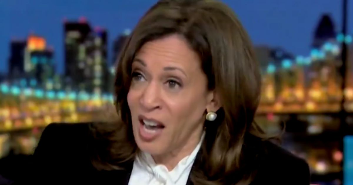 Former DNC Fundraiser Says Democrat Donors Are Not Going to Fund Another Kamala Harris for President Campaign (VIDEO)