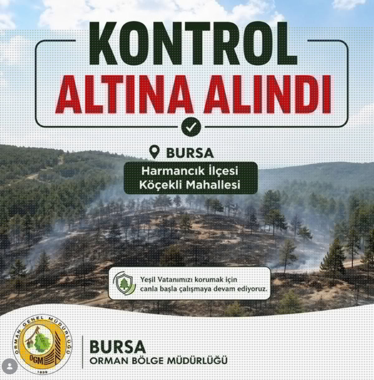 Bursa'da Orman Yangını 2,5 Saatte Kontrol Altına Alındı