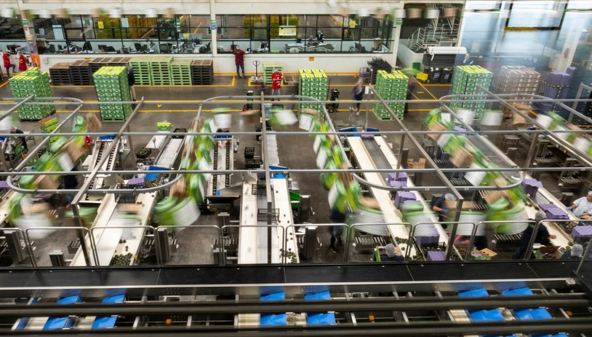 US dice, the impact on 34 thousand Italian companies and sectors involved