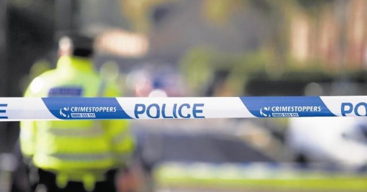 Man arrested after 'various crimes of dishonesty' and assaulting police officers