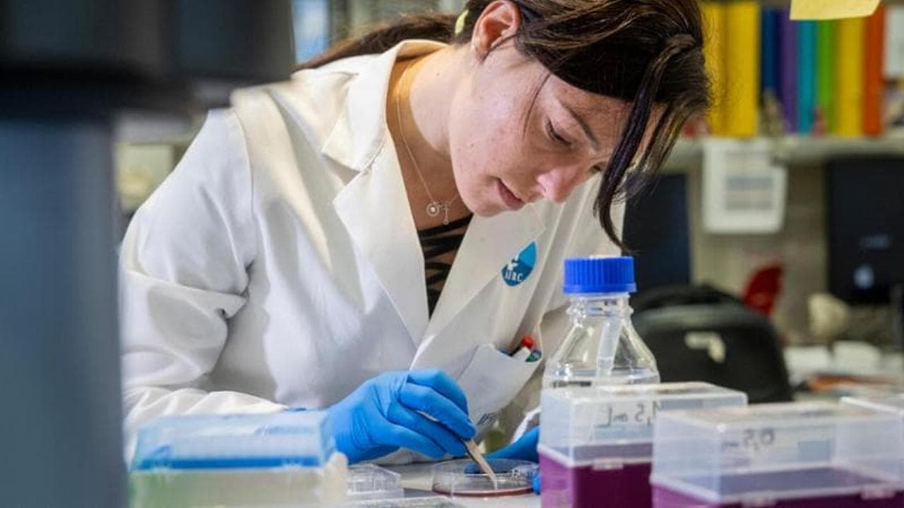 Airc, 60 anni di lotta al cancro. “La metà dei fondi per la ricerca viene dai privati”