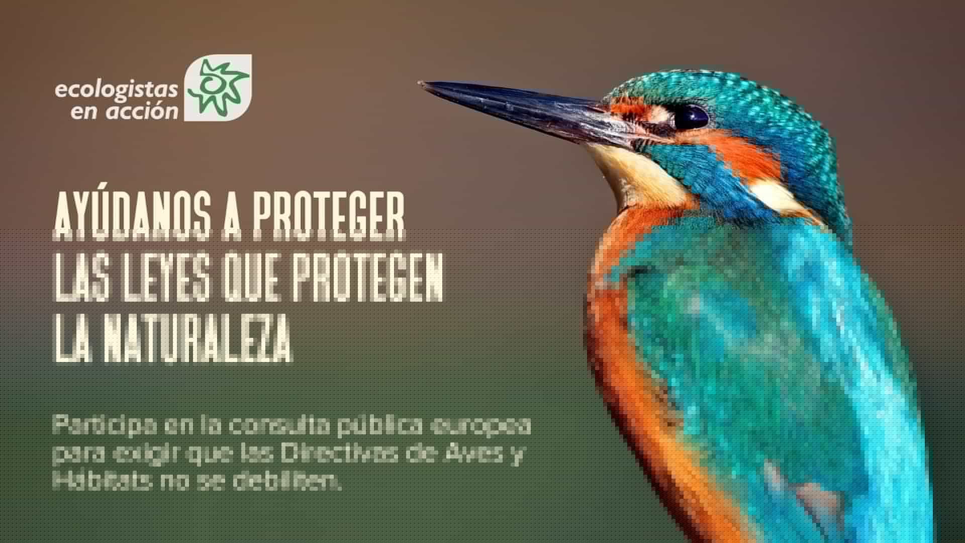 ¡Urgente! Ayúdanos a proteger las leyes que protegen la naturaleza