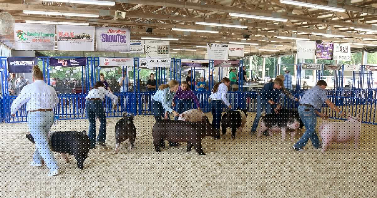 5 Things to Do: Kendall County Fair, National Night Out, Bizzaro Bingo and more