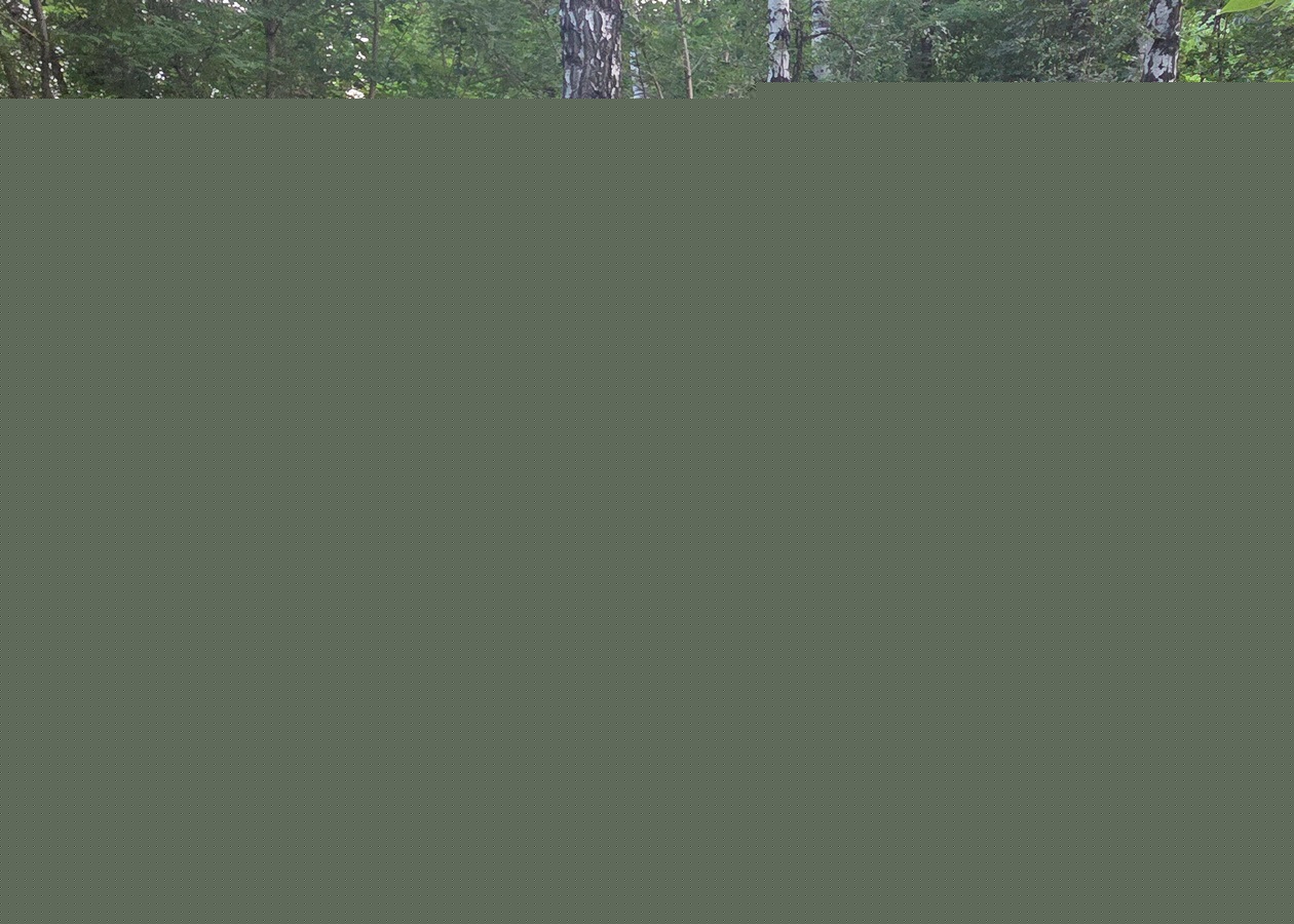 Когда связь молчит - молчит вся бригада. Связисты просят помощи