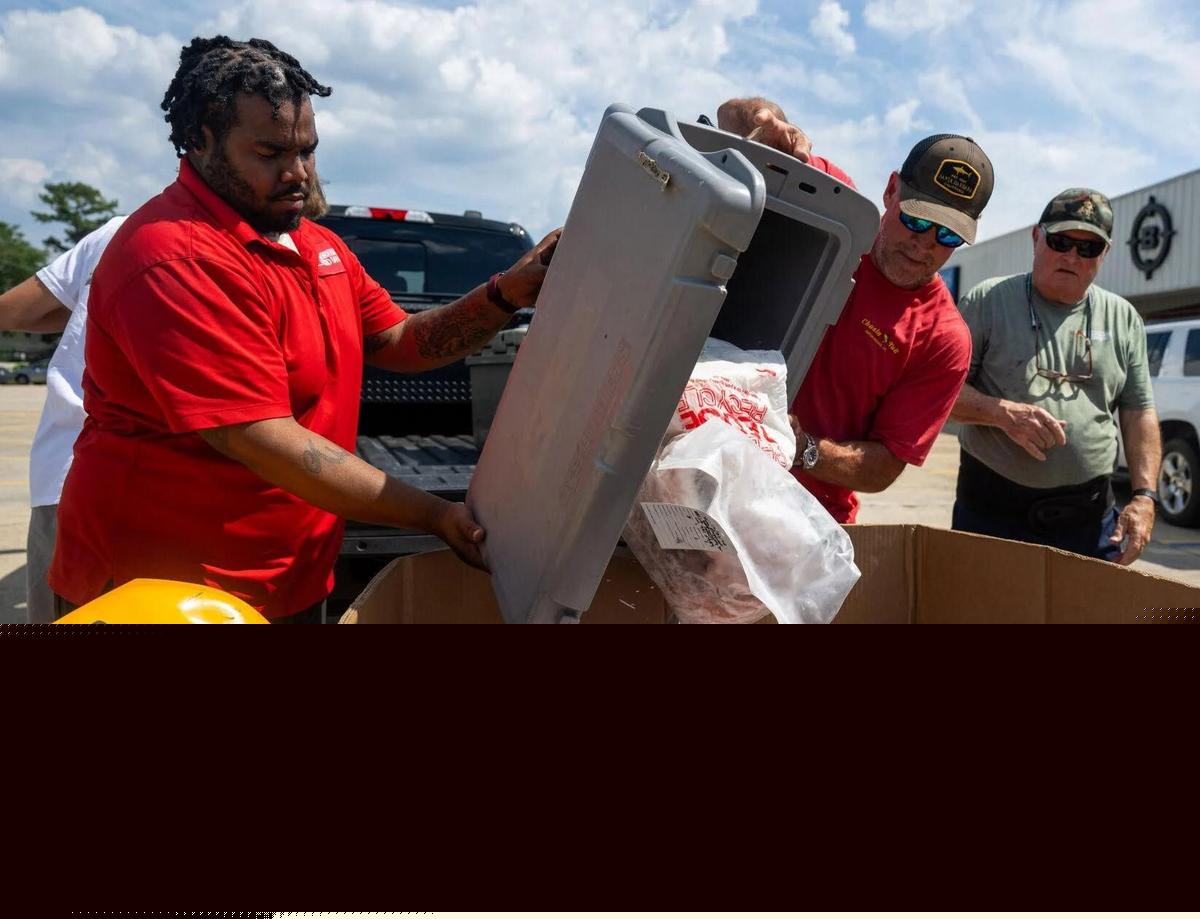 Louisiana 'Clean Out Your Freezer Day' Set for August 23rd