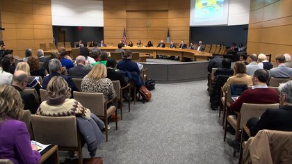 Minnesota Senate hearing on Operation Metro Surge draws lawmakers from 15 states