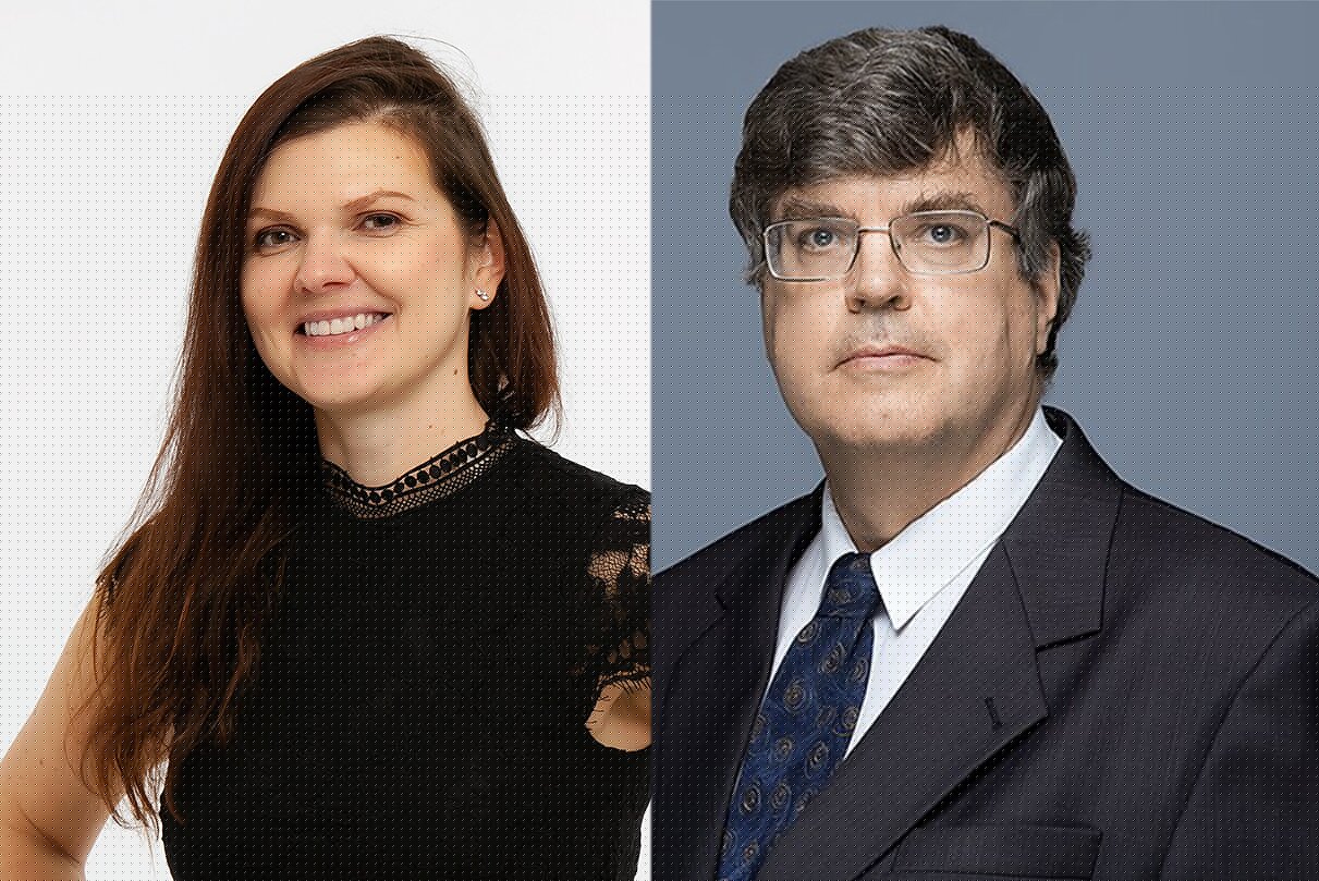 Vlada Dapkos, Arvydas Guogis. Priešrinkiminės nuotaikos Švedijoje