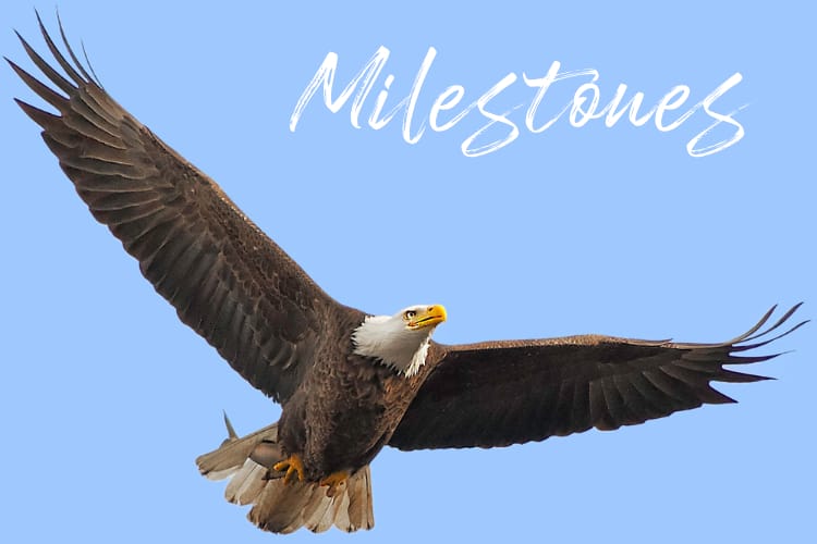 Milestones: July 28, 2026