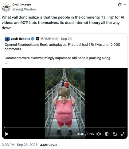 AI Lady With Rock Breaking Glass Bridge - What yall dont realize is that the people in the comments "falling" for AI videos are 90% bots themselves. Its dead internet theory all the way down.
