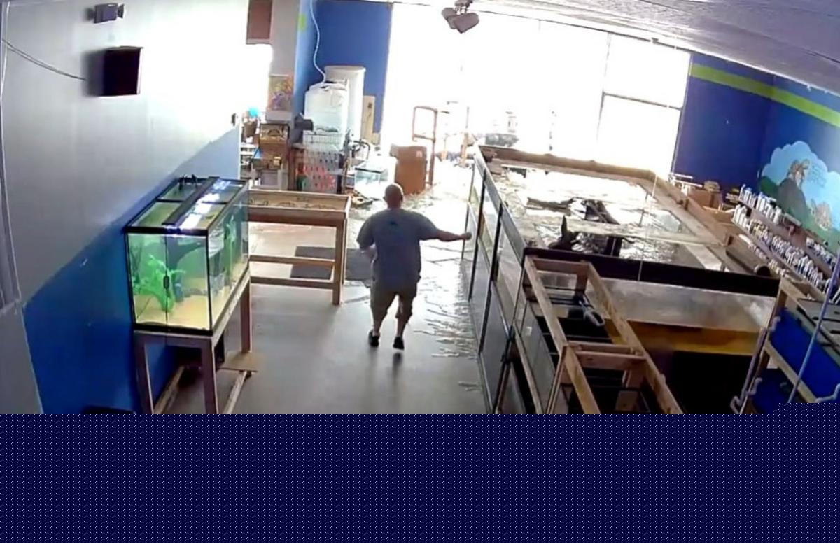 WATCH: Huge Fish Tank Containing 350 Fish Explodes In Pet Store In Fox Lake, Illinois