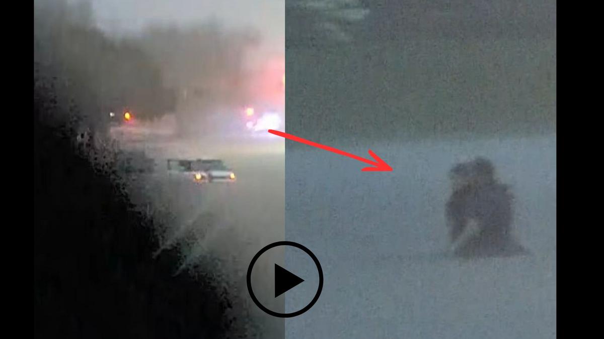 Wild Video Shows Child Rescued From Floodwaters on Route 20 in Guilderland
