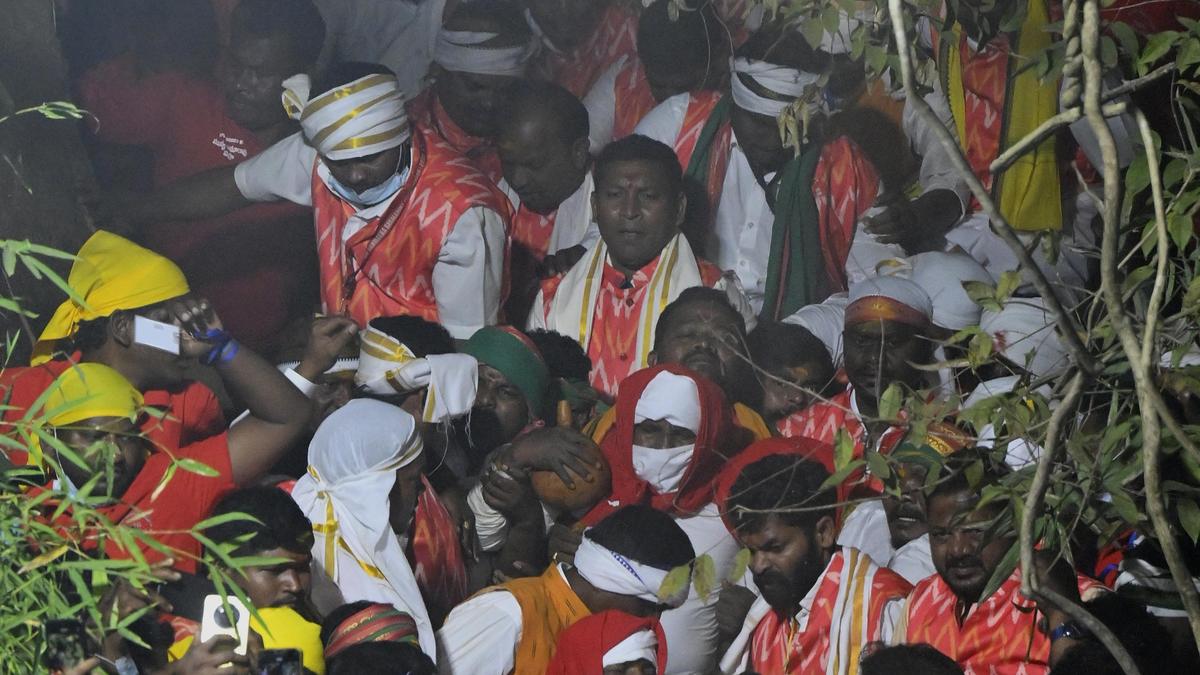 Religious fervour peaks as Sammakka ceremonially placed on Gadde at shrine, devotee influx set to surge