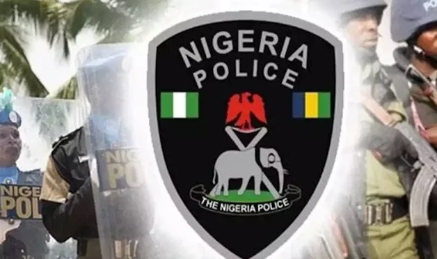 Police nab 26-yr-old suspected cultist, recover locally made gun in Ekiti