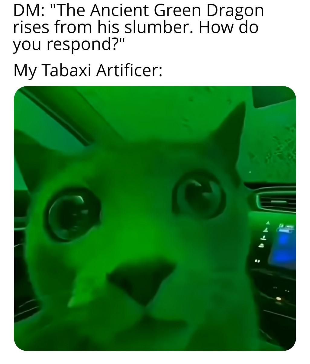 Dungeons and Dragons - To my dear DM, how TF else am I supposed to respond? | /r/dndmemes