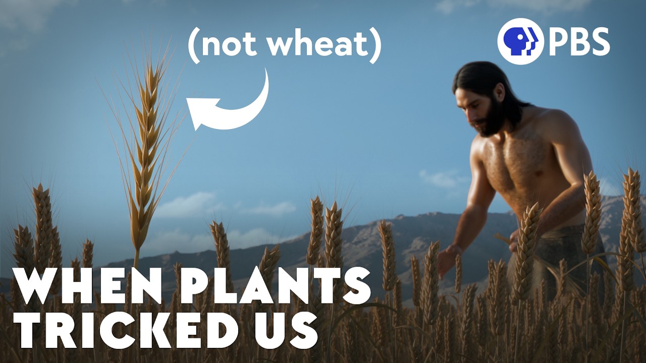 Video: When Ancient Weeds Fooled Us [13:26]