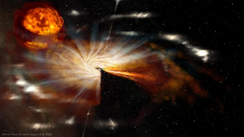 Observações de Swift J1727.8-1613 revelam buracos negros ativos