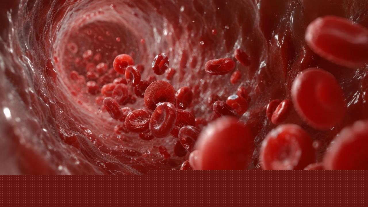 Blood Cleansing Procedure Removes Microplastics And PFAS Along With Cholesterol