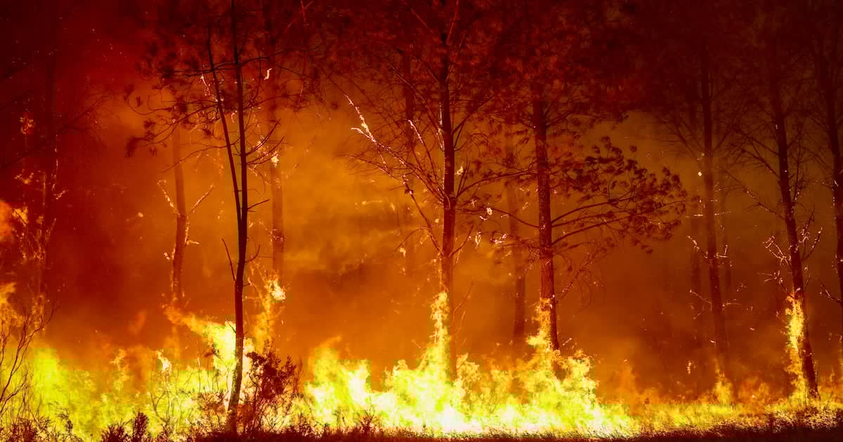 World-Famous Wineries Menaced by ‘Zombie’ Fire Crisis