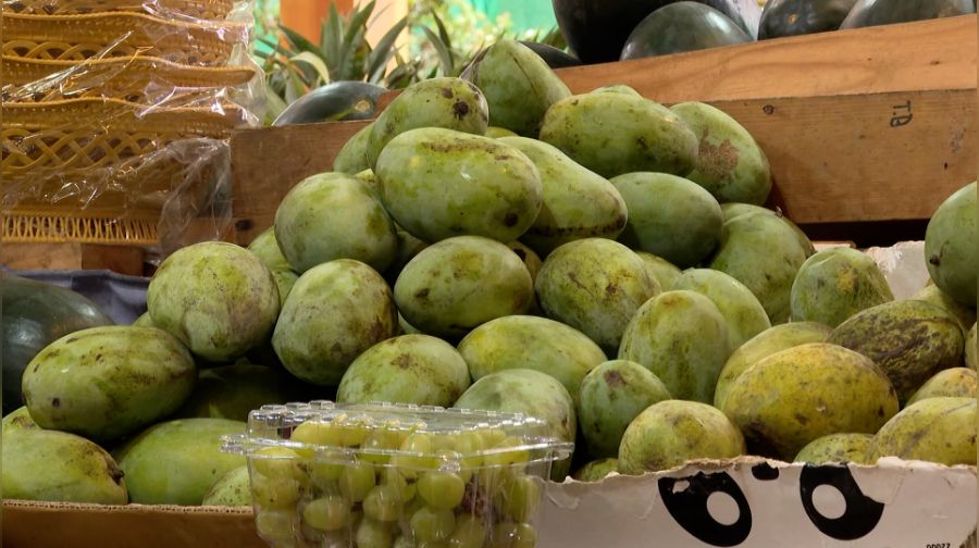 BFDA tightens controls on imported Langra mangoes after calcium carbide detected