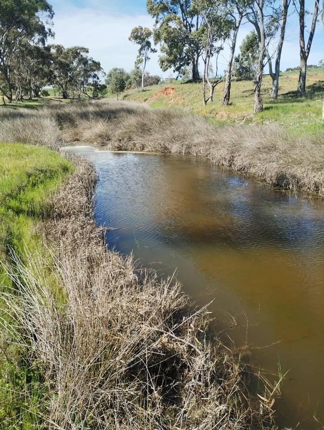 History and ecology on Wakefield River tour