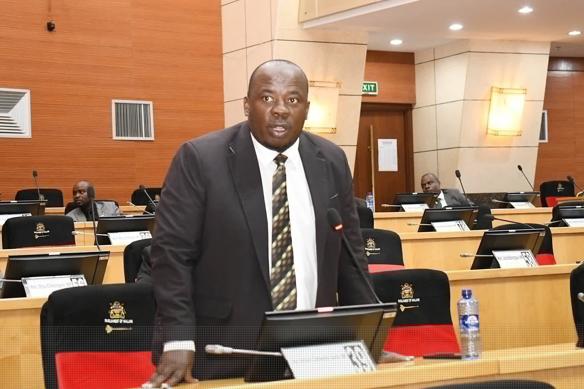 ‘Backbenchers are not useless’: Chimwendo Banda defends MP moved for praising President