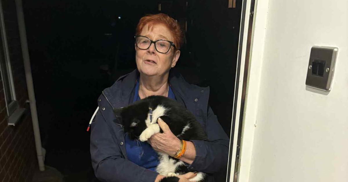 Taunton woman reunited with cat after his unexpected journey to the seaside