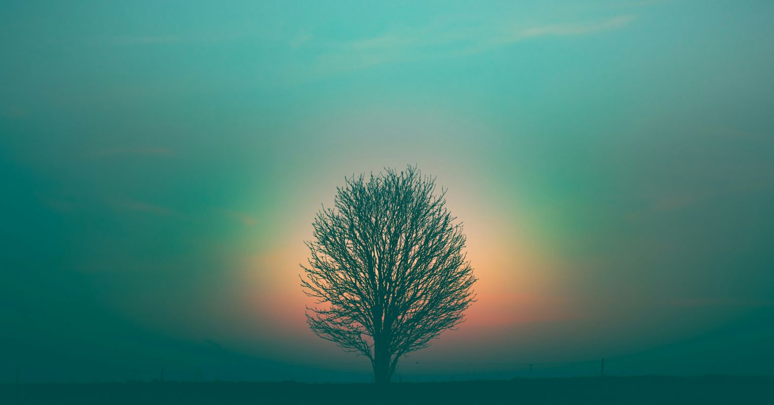Transpersonal Psychology: The Field That Died and Won