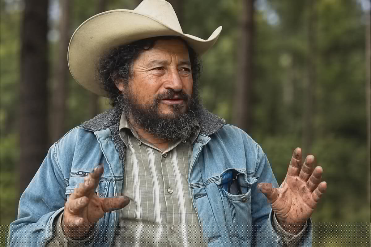 The Michoacán forest defender who never returned: Kidnapping of José Luis Silva Andrade rekindles fear among environmentalists