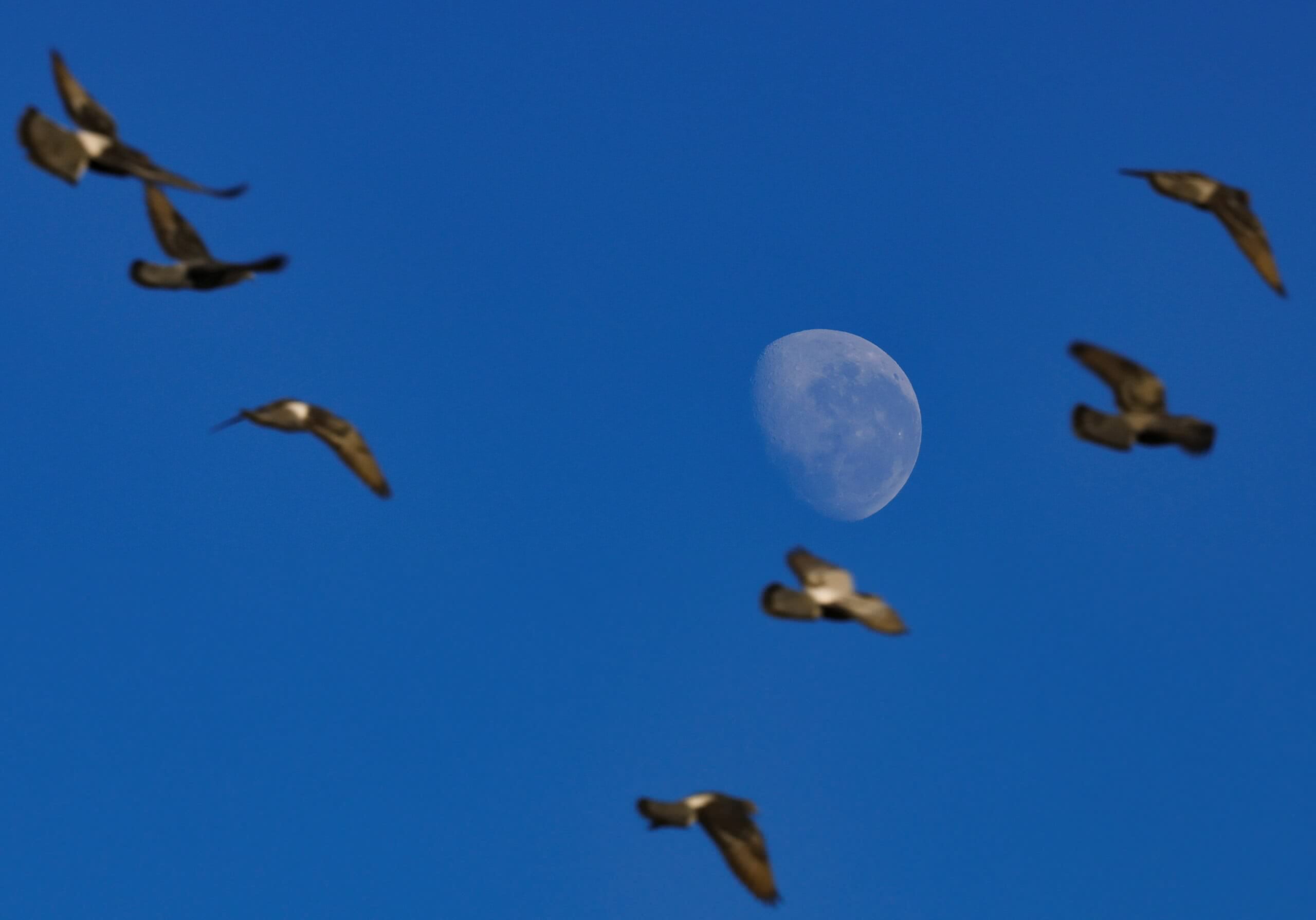 Going Outside and Listening to Birds Sing for 10 Minutes Can Melt Your Stress Away