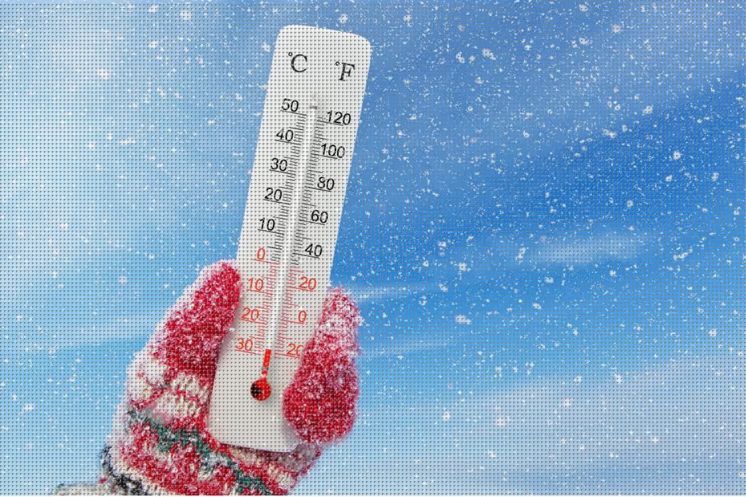 Government issues urgent safety alert as Gauteng freezes