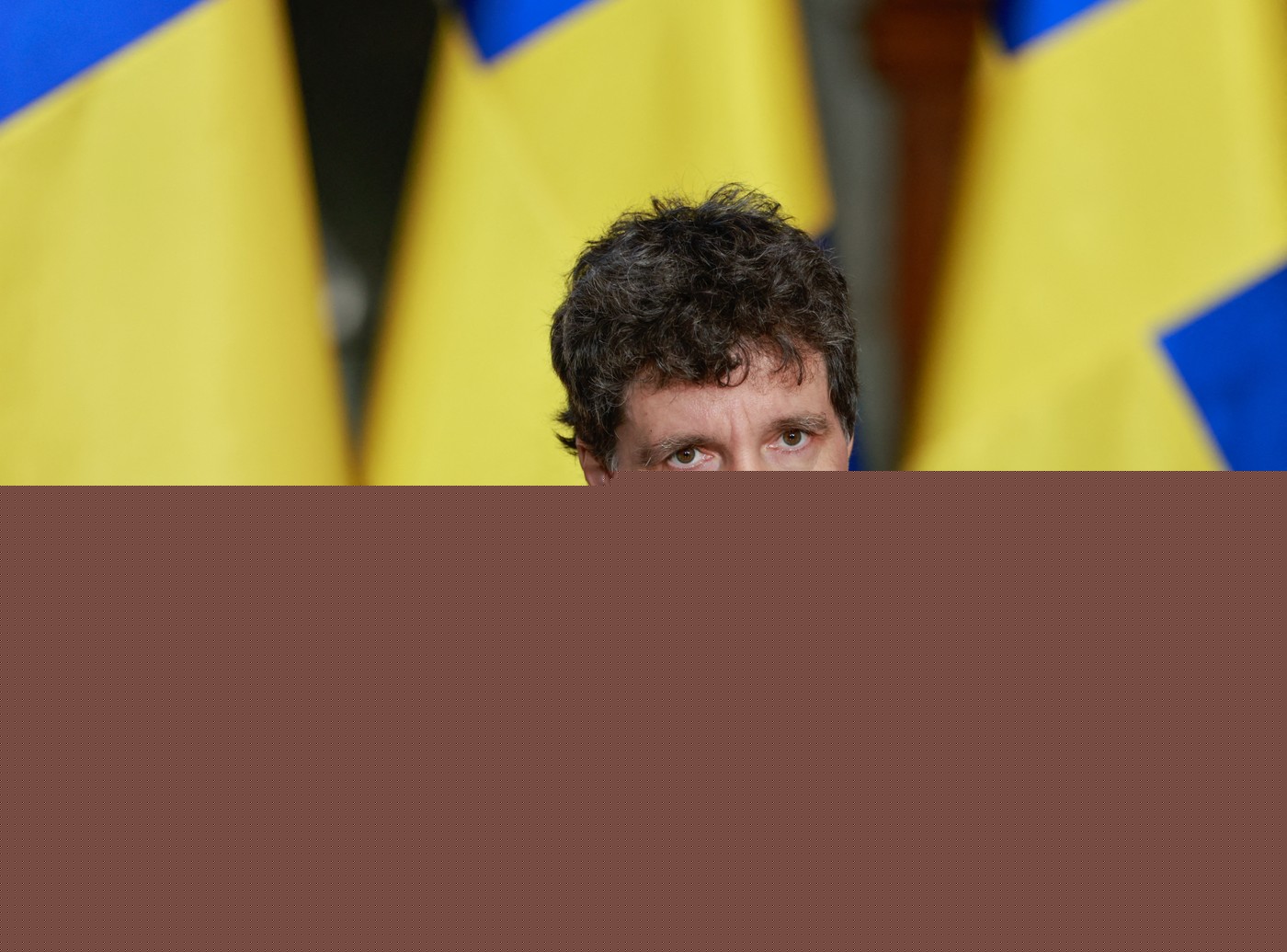 Nicușor Dan întoarce în Parlament legea ce dublează numărul urșilor care pot fi împușcați, după ce a fost declarată constituțională de CCR